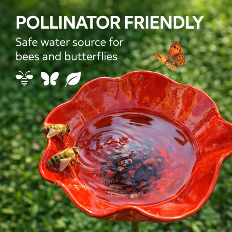 🐦 Mini Bird Bath & Pollinator Water Station  ✨ Attract Birds & Beneficial Insects