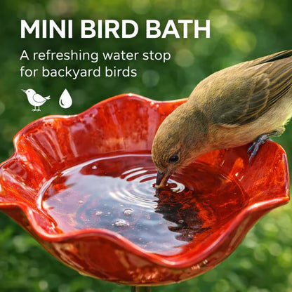 🐦 Mini Bird Bath & Pollinator Water Station  ✨ Attract Birds & Beneficial Insects